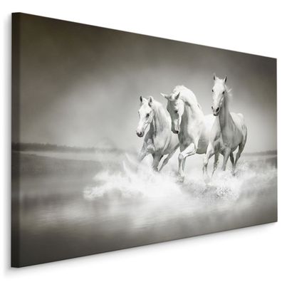 CANVAS Leinwandbild XXL Wandbilder Flur Schwarz Weiß Pferde Galop 491