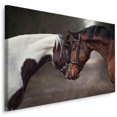 CANVAS Leinwandbild XXL Wandbilder Wohnzimmer PFERDE Tiere Natur Wald 492