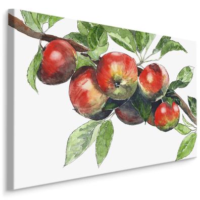 CANVAS Leinwandbild XXL Wandbilder Esszimmer gemalte Äpfel auf dem Ast 729