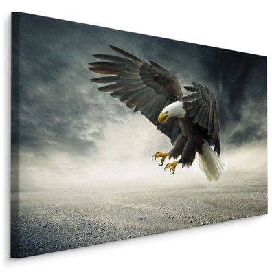 CANVAS Leinwandbild XXL Wandbilder Vogel wilder Adler NATUR Wohnzimmer 918