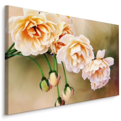 CANVAS Leinwandbild XXL Wandbilder Blumen ROSEN Natur Dekor 3D 1412