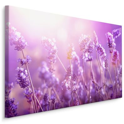 CANVAS Leinwandbild XXL Wandbilder Schlafzimmer BLUMEN Lavendel Natur 3D 1574