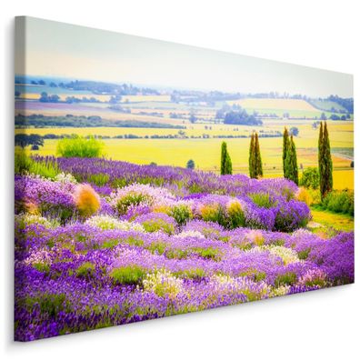 CANVAS Leinwandbild XXL Wandbilder Lavendel Landschaft 3D Natur 1591