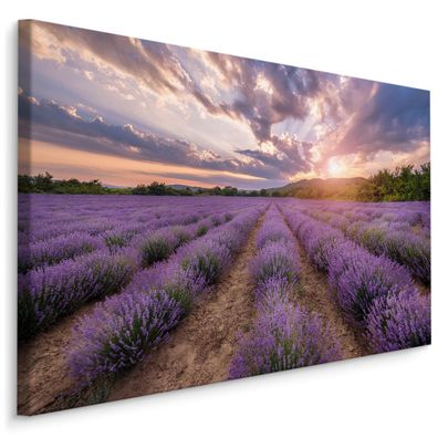 CANVAS Leinwandbild XXL Wandbilder Lavendelfeld Sonnenuntergang 3D 1598