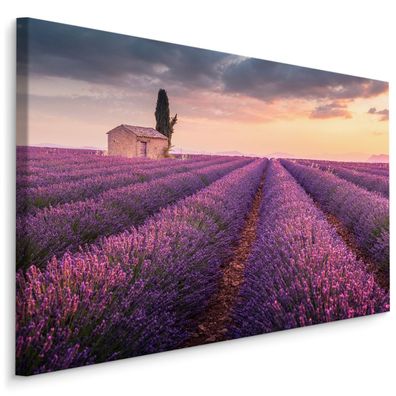 CANVAS Leinwandbild XXL Wandbilder Schlafzimmer Lavendel LAND 3D 1601