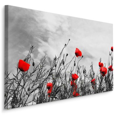 CANVAS Leinwandbild XXL rote Mohnblumen schwarz-weißer Hintergrund 3D 1608