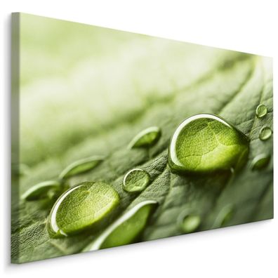 CANVAS Leinwandbild XXL Wandbilder Wassertropfen Blatt grün 3D 1716