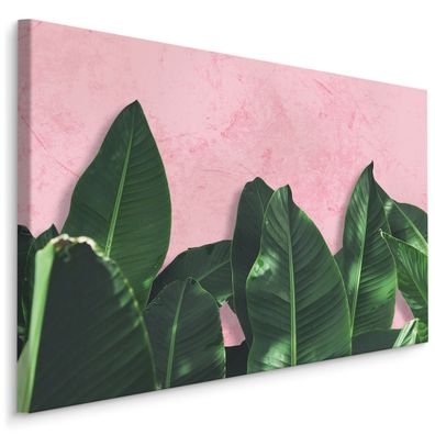 CANVAS Leinwandbild XXL Blätter Bananenbaum rosa Hintergrund 3D 1719