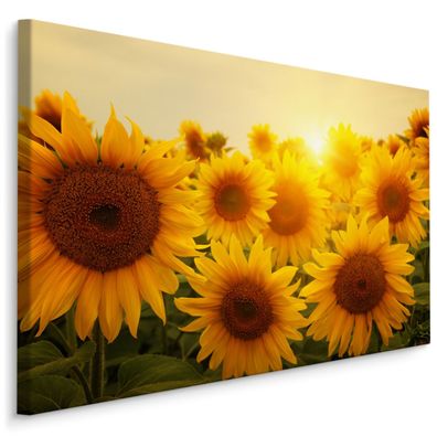 CANVAS Leinwandbild XXL Wandbilder Sonnenblumen Sonnenuntergang 3D 1769