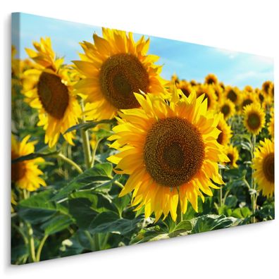 CANVAS Leinwandbild XXL Wandbilder Feld von Sonnenblumen BLUMEN 3D 1774