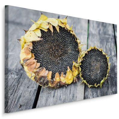 CANVAS Leinwandbild XXL Sonnenblumen mit Brettern im Hintergrund 3D 1810