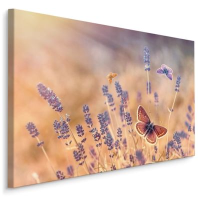 CANVAS Leinwandbild XXL Wandbilder Schmetterlinge unter Lavendel 300