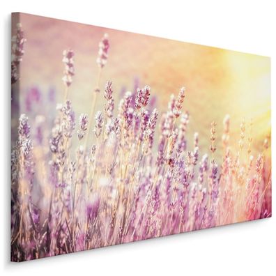 CANVAS Leinwandbild XXL Wandbilder Kunstdruck Lavendel in der Sonne 308