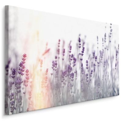CANVAS Leinwandbild XXL Wandbilder Kunstdruck Blühende Lavendel 309
