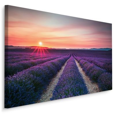 CANVAS Leinwandbild XXL Wandbilder Feld des blühenden Lavendels 310