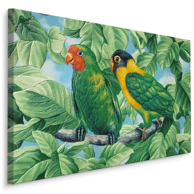 CANVAS Leinwandbild XXL Wandbilder Kunstdruck Schöne bunte Papageien 317