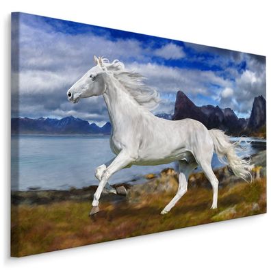 CANVAS Leinwandbild XXL Wandbilder Kunstdruck Pferd im Galopp 319