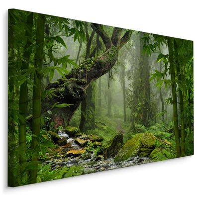 CANVAS Leinwandbild XXL Wandbilder Kunstdruck tropischer Dschungel 334