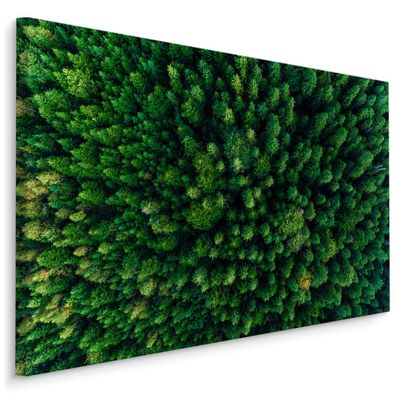 CANVAS Leinwandbild XXL Wandbilder Kunstdruck Bäume in den Karpaten 345