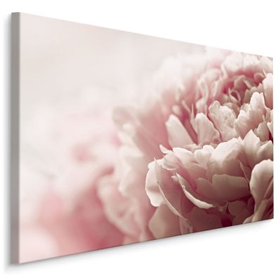 CANVAS Leinwandbild XXL Wandbilder Kunstdruck Naturblumen Wohnzimmer 368