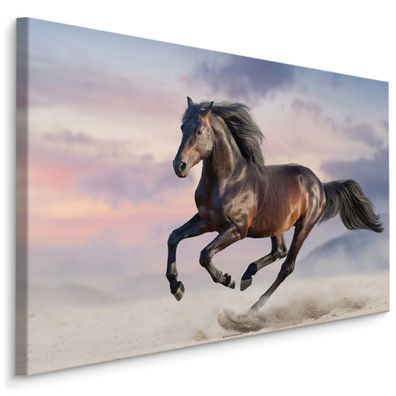 CANVAS Leinwandbild XXL Wandbilder Kunstdruck Pferd Galop Wüste Natur 465