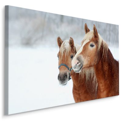 CANVAS Leinwandbild XXL Wandbilder Esszimmer Pferde Snee Winter Natur 467