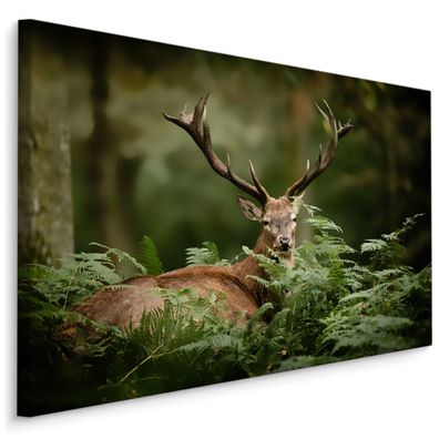 CANVAS Leinwandbild XXL Wandbilder Wohnzimmer Hirsch grün Wald Natur 864