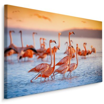 CANVAS Leinwandbild XXL Wandbilder Vögel tropische Flamingos Wohnzimmer 913