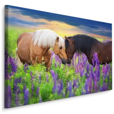 CANVAS Leinwandbild XXL Wandbilder Wohnzimmer Pferde Blumen Grün Wiese 476
