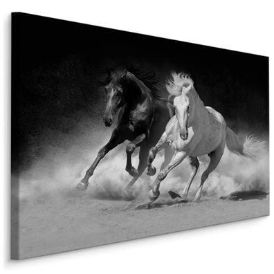 CANVAS Leinwandbild XXL Wandbilder Wohnzimmer Schwarz Weiß Galop Pferde 477