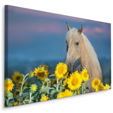 CANVAS Leinwandbild XXL Wandbilder Kunstdruck Pferd Sonnenblumen Natur 478