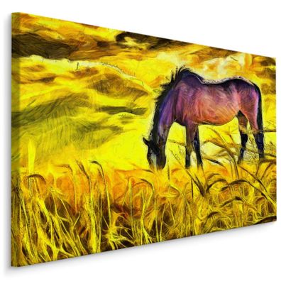 CANVAS Leinwandbild XXL Wandbilder Wohnzimmer Pferd Wiese Natur 483