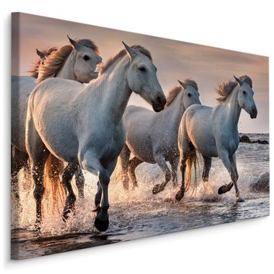 CANVAS Leinwandbild XXL Wandbilder Pferde MEER Wasser Wellen Strand 490