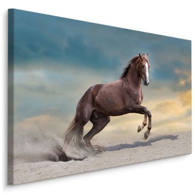 CANVAS Leinwandbild XXL Wandbilder Esszimmer Pferd Wüste Natur 3D 496