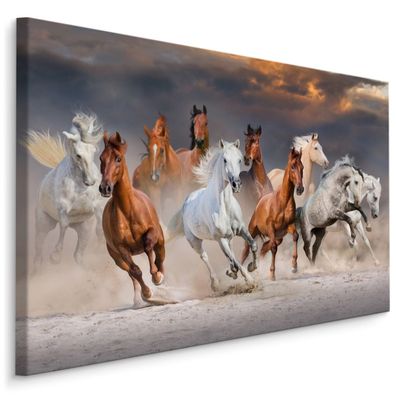 CANVAS Leinwandbild XXL Wandbilder Wand Wohnzimmer Pferde Wüste 3D 497
