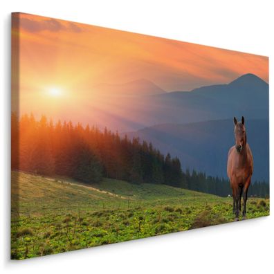 CANVAS Leinwandbild XXL Wand Pferd Sonnenuntergang Landschaft 3D 498