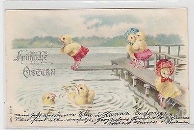 66167 Fröhliche Ostern Ak Küken im Schwimmbad 1902