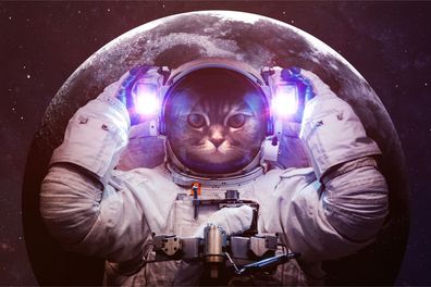 Muralo VLIES Fototapeten Tapeten XXL für Jugend Katze Astronaut 3D 3386