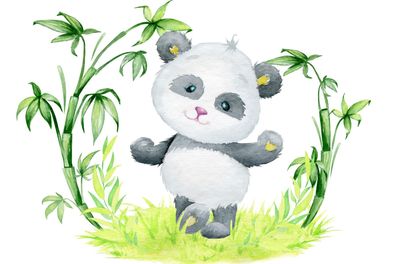 Muralo VLIES Fototapeten Tapeten XXL für Kind Panda Bambus Natur 2480