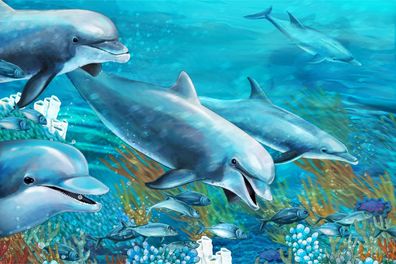 Muralo VLIES Fototapeten Tapeten XXL Kinder Delphine Korallenriff 2854