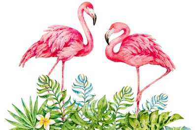 Muralo VLIES Fototapeten Tapeten XXL für Kinder Flamingos Blätter 3D 3561