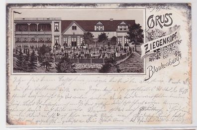 25718 Vorläufer Ak Lithographie Gruss vom Ziegenkopf bei Blankenburg 1894