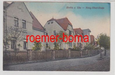 53121 Ak Strehla an der Elbe König Albert Strasse um 1920