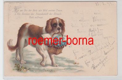 67714 Künstler-Ak Hund mit Korb voll Vergißmeinnicht und einem Brief 1899