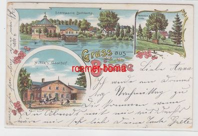 69555 Ak Lithographie Gruß aus Bissee Gasthof, Sternwarte Hochzeitslinde 1903