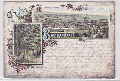 69856 Ak Lithographie Gruß aus Bergedorf Panorama und Schiessthal 1901
