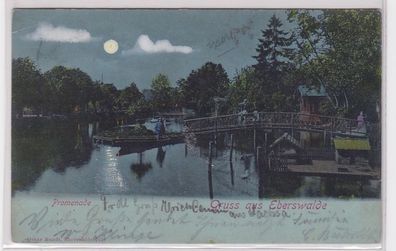 78443 Mondscheinkarte Gruß aus Eberswalde Promenade 1901