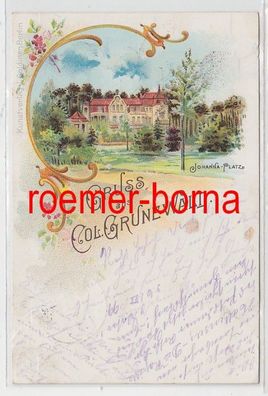 78719 Ak Lithographie Gruss aus Colonie Grunewald Johanna Park 1899