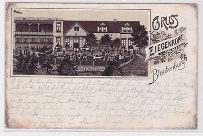 82414 Vorläufer Lithografie AK Gruss vom Ziegenkopf bei Blankenburg 1894
