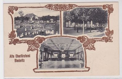 87867 Mehrbild AK Alte Oberförsterei Biederitz - Kinder im Park Saal & Park 1916